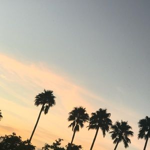 Meet your Posher, Macy